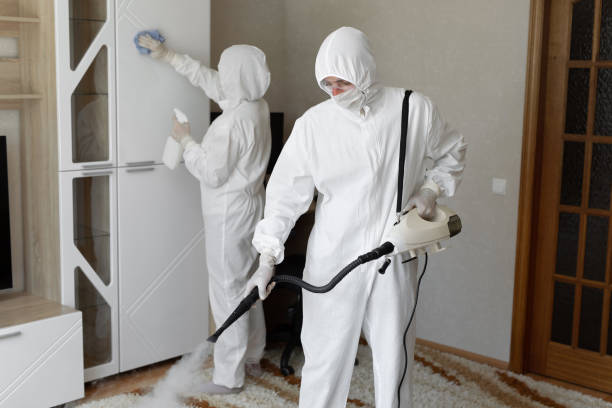 Best Local Mold Removal Service  in Harkers Island, NC